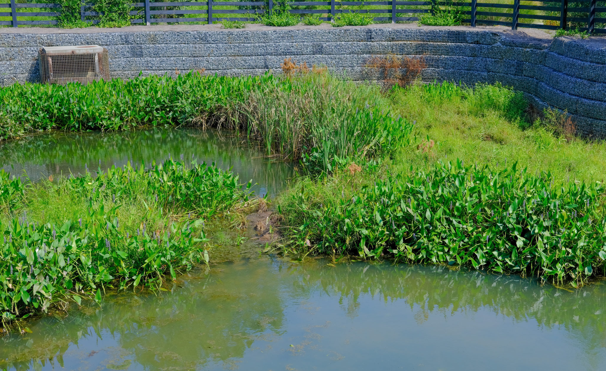 Stormwater Basin