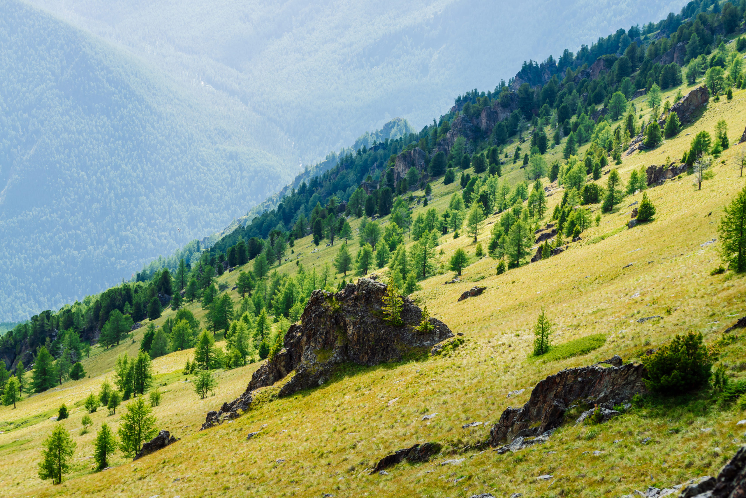 Steep Slopes The Land Development Site